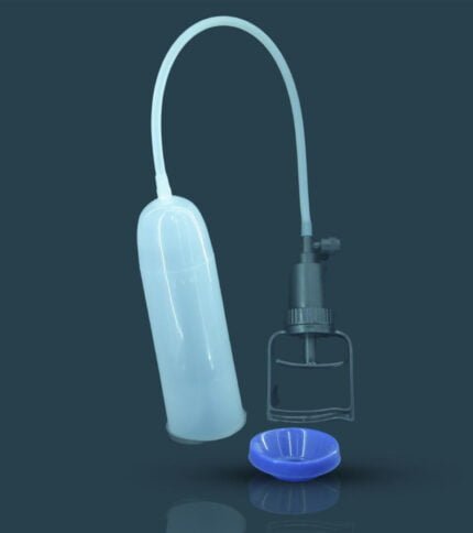 male organ development