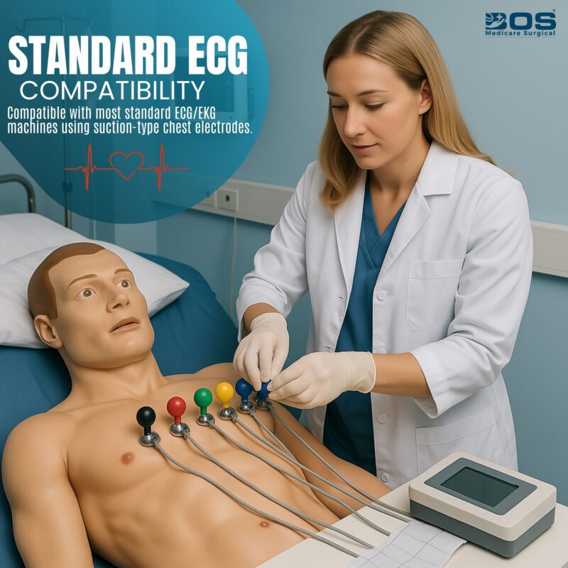 ECG Electric Bulb 6Pc Compatible with Standard ECG Machines