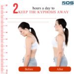 Back Rest & Neck Pain Support Cushion