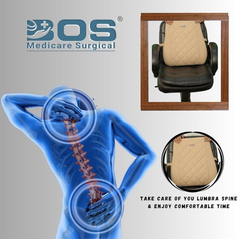 Back Rest Cushion Showing Ergonomic Internal Support Design