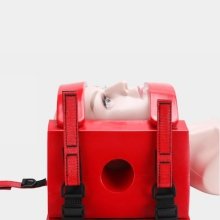 Head Immobilizer