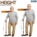 walking stick