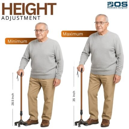 walking stick