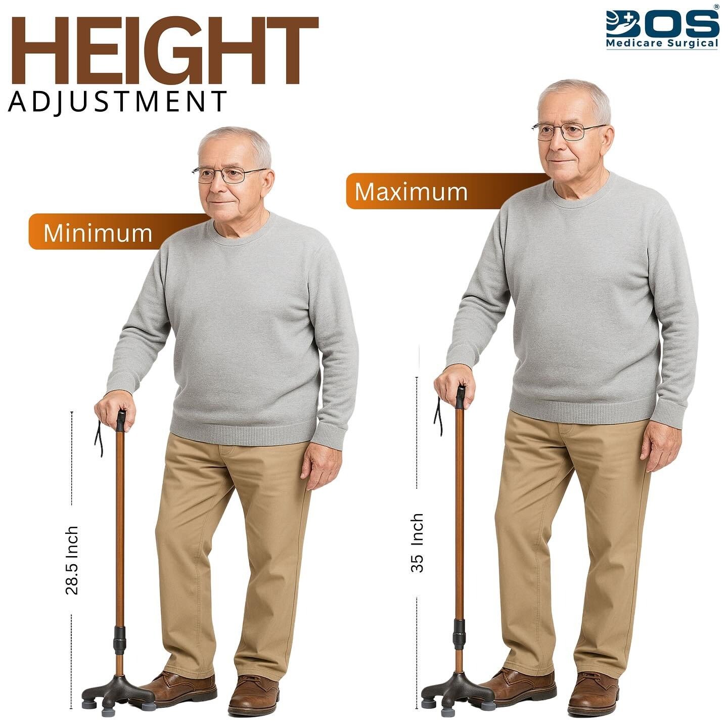 walking stick