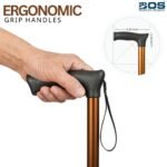 walking stick