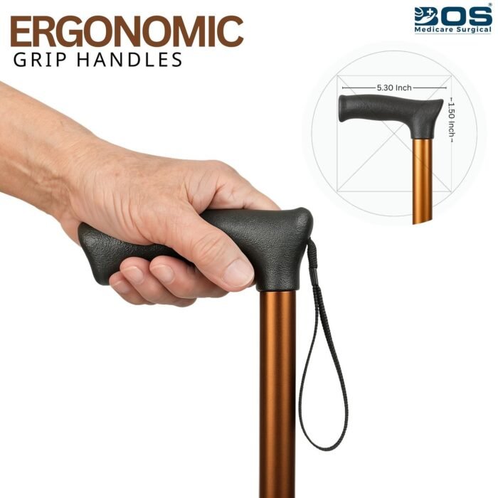 walking stick