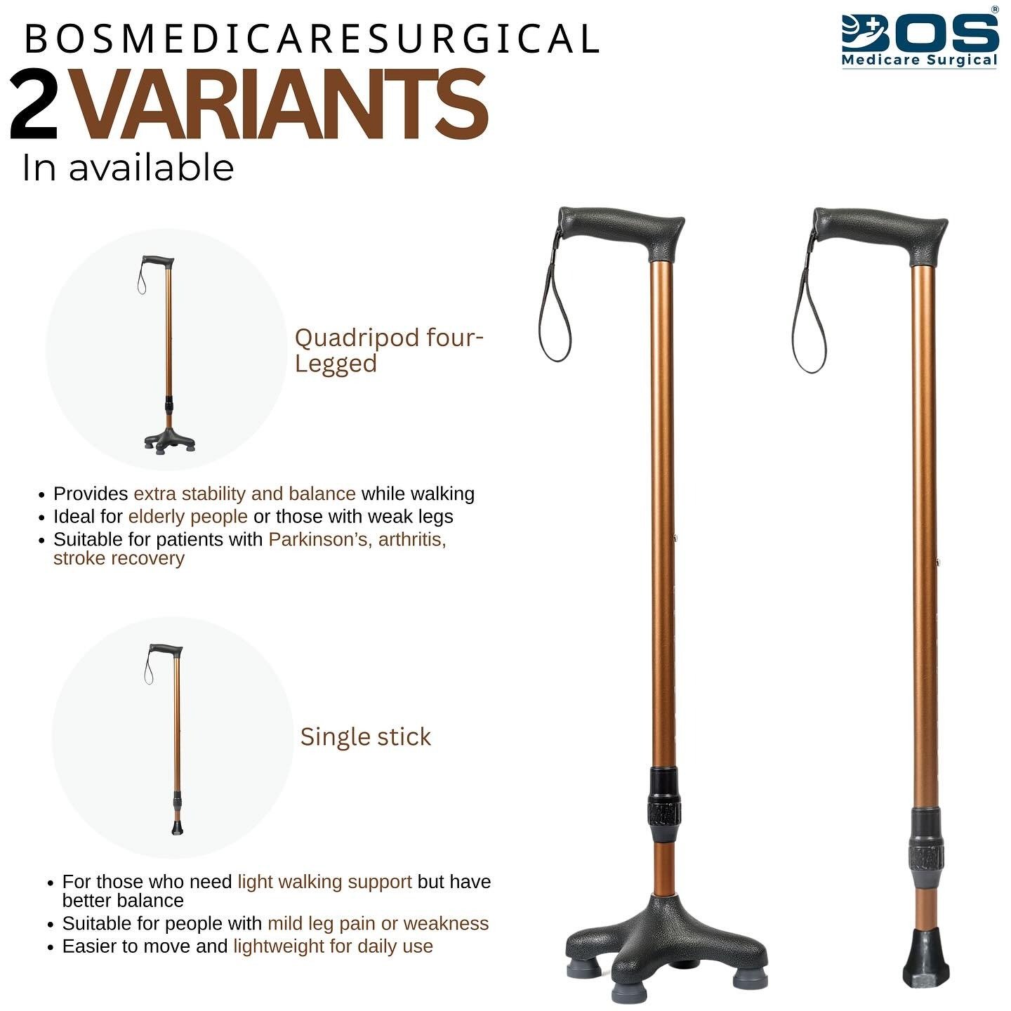 walking stick