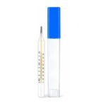 Mercury Thermometer