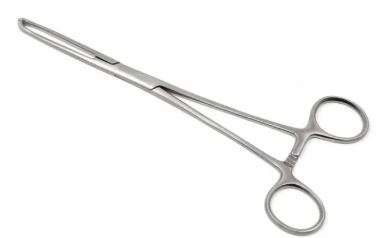 Allis Tissue Holding Forceps 6 Inch