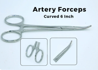 Artery Forceps Curved 6 Inch 