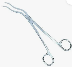 Cheatle Forceps 8 Inch