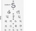 Gujarati Eye Test Chart Snellen Vision Chart for Eye Examination
